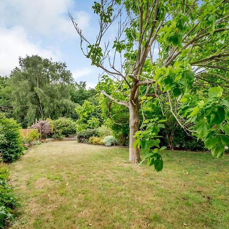 Little Thatch Lovely 2-Bed Converted Workshop Near Weymouth Radipole エクステリア 写真