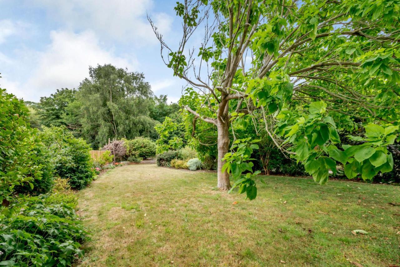 Little Thatch Lovely 2-Bed Converted Workshop Near Weymouth Radipole エクステリア 写真