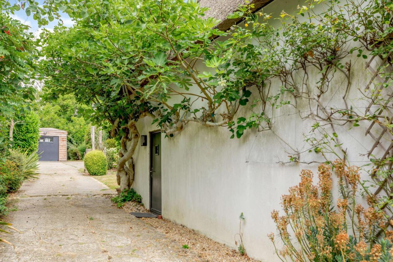 Little Thatch Lovely 2-Bed Converted Workshop Near Weymouth Radipole エクステリア 写真